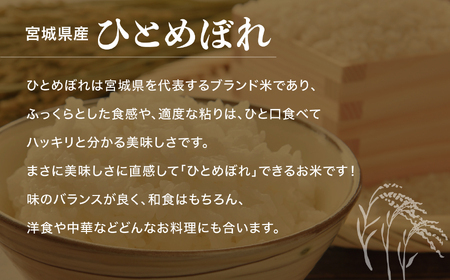 令和7年産 無洗米ひとめぼれ20kg(5kg×4袋) 