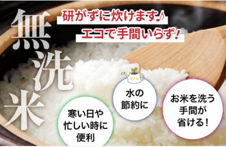 令和7年産 無洗米ひとめぼれ100kg(5kg×20袋)
