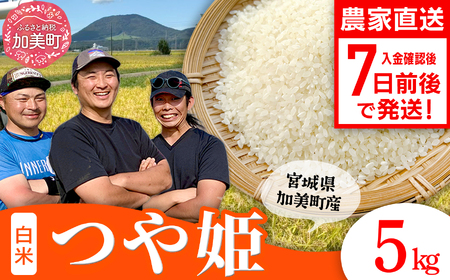 つや姫 5kg 宮城県加美町産 【令和7年産】 結心ファーム yu-th05-r7