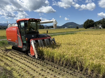 【ふるなびWEEK対象】無洗米 つや姫 5kg 宮城県産《 令和7年産 新米 》 FN-Limited-PR