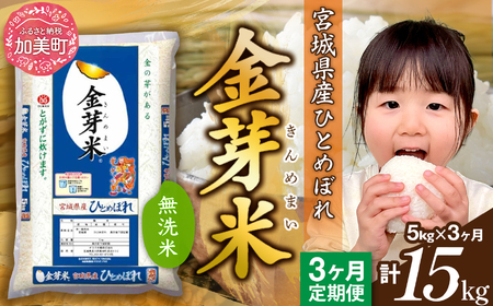 金芽米 新米定期便5kg×3回 金芽米