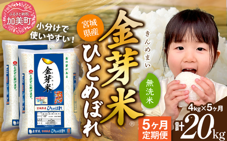 金芽米 新米定期便4kg×5回 金芽米