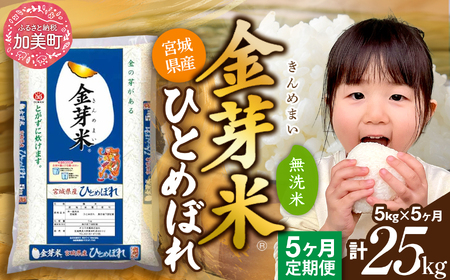 金芽米 新米定期便5kg×5回 金芽米