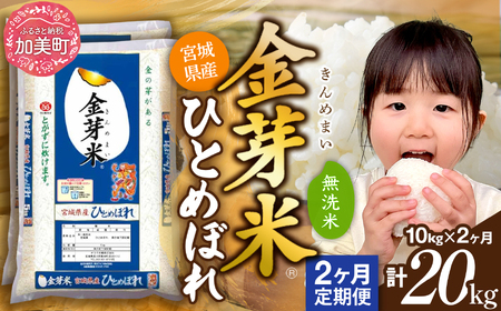 金芽米 新米定期便10kg×2回 金芽米