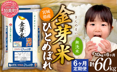 金芽米 新米定期便10kg×6回 金芽米