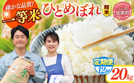 【12回定期便】精米 令和7年産産 宮城県産ひとめぼれ 計240kg（10kg×2袋）×12回 菅原商店 宮城県 加美町 sg-hb20-t12-r7