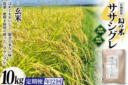 12回 定期便 希少品種米 ササシグレ 玄米 10kg×12回 総計120kg / 長沼 太一 / 宮城県 加美町
