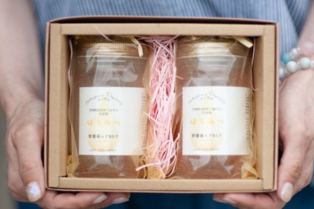 ＜季節の花とミツバチからの贈り物＞非加熱はちみつ300g×2種セット《数量限定》＜畑山養蜂＞【宮城県加美町】