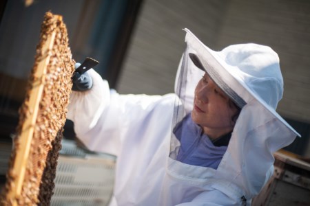 ＜季節の花とミツバチからの贈り物＞非加熱はちみつ300g×2種セット《数量限定》＜畑山養蜂＞【宮城県加美町】