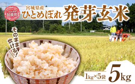 簡単に炊ける 宮城県産 ひとめぼれ 発芽玄米 5kg 玄米 米 菅原商店 宮城県 加美町 sg-hb05-hg