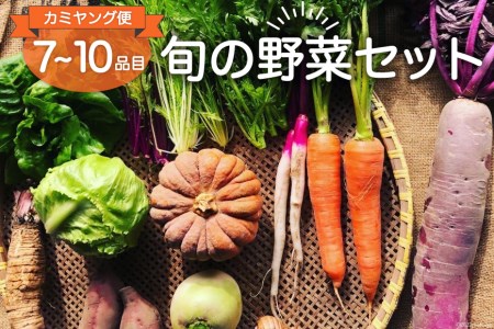 野菜 カミヤング便 旬の野菜 7~10品種 セット 産地直送 新鮮 詰め合わせ / リロカリコクリ / 宮城県 加美町