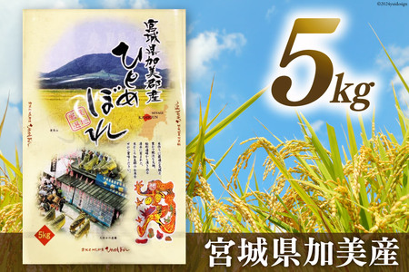 米 令和4年 宮城県加美郡産 ひとめぼれ 5kg お米 精米 白米 / カメイ / 宮城県 加美町