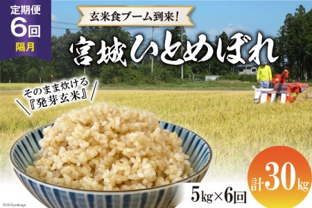 定期便 隔月 6ヶ月 簡単に炊ける 宮城県産 ひとめぼれ 発芽玄米 計30kg(5kg×6回) / 菅原商店 / 宮城県 加美町