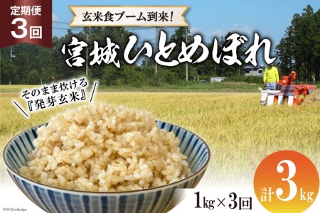 定期便 3ヶ月 簡単に炊ける 宮城県産 ひとめぼれ 発芽玄米 計3kg(1kg×3回) / 菅原商店 / 宮城県 加美町