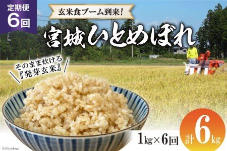 定期便 6ヶ月 簡単に炊ける 宮城県産 ひとめぼれ 発芽玄米 計6kg(1kg×6回) / 菅原商店 / 宮城県 加美町