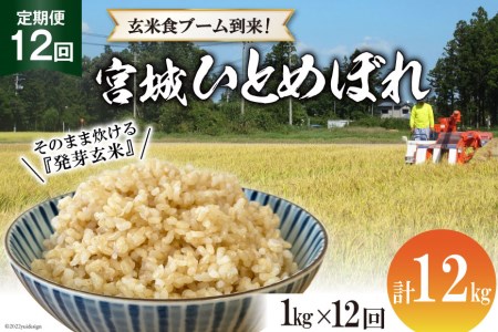 定期便 12ヶ月 簡単に炊ける 宮城県産 ひとめぼれ 発芽玄米 計12kg(1kg×12回) / 菅原商店 / 宮城県 加美町