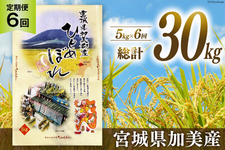 定期便 米 令和4年 加美郡産 ひとめぼれ 5kg×6回 総計30kg お米 精米 白米 / カメイ / 宮城県 加美町