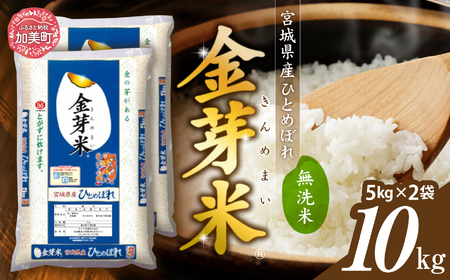 米 令和5年 加美産 金芽米 ひとめぼれ 10kg 無洗米 [カメイ 宮城県