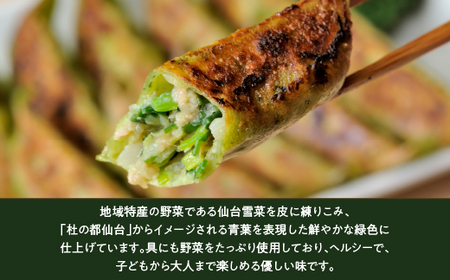 仙台あおば餃子 30個入×2箱セット【kann004】