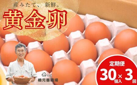 【定期便】卵 たまご 産みたて新鮮卵 30個入り 3か月 定期便 | 卵 たまご 玉子 鶏卵 新鮮 濃厚 生卵 赤玉たまご 目玉焼き オムレツ 健康 産地直送 人気 二黄卵 卵定期便 たまご定期便 ※沖縄・離島への配送不可【aubless023】 