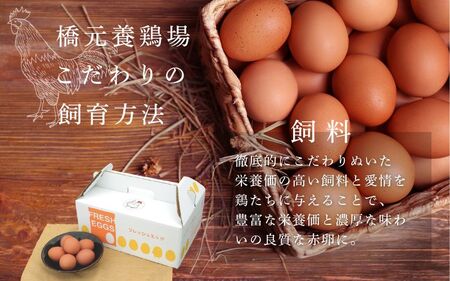 【定期便】卵 たまご 産みたて新鮮卵 30個入り 3か月 定期便 | 卵 たまご 玉子 鶏卵 新鮮 濃厚 生卵 赤玉たまご 目玉焼き オムレツ 健康 産地直送 人気 二黄卵 卵定期便 たまご定期便 ※沖縄・離島への配送不可【aubless023】 