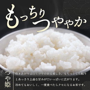 つや姫　10kg白米　(発送日:3月7日) 米「つや姫」10kg 白米 令和7年産 ※2025年11月より順次発送予定