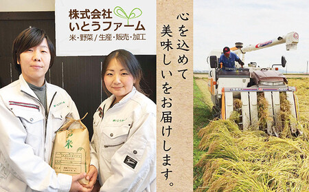 いとうファームの令和8年産「だて正夢」5kg ※2026年11月より順次発送予定【itofarm035】