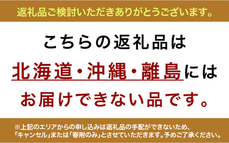 シクラメン (お色おまかせ)  6号鉢　※北海道・沖縄・離島への配送不可　※2024年12月上旬頃より順次発送予定