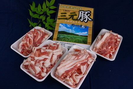 涌谷町産三元豚食べ比べセット 2kg