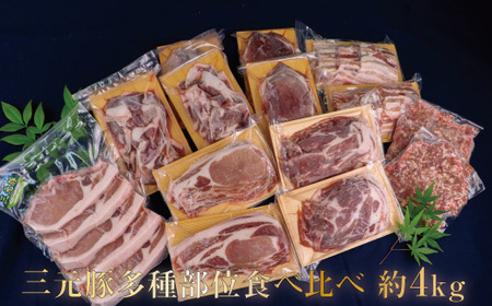 涌谷町産三元豚多種部位食べ比べセット 約4kg