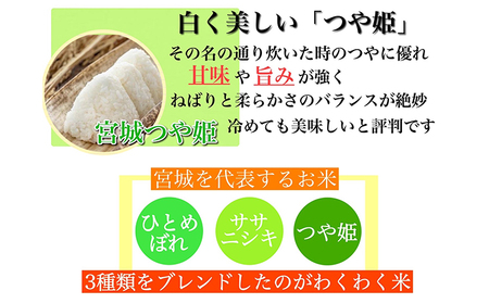 【3ヶ月定期便】宮城県産三大銘柄いいとこ取りブレンド米 わくわく米 5kg×2袋入 計30kg