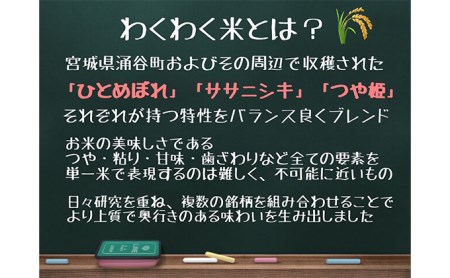 宮城県産三大銘柄いいとこ取りブレンド米 わくわく米 5kg×2袋入 計10kg ｜ お米 精米 白米 ひとめぼれ ササニシキ つや姫 宮城県産 三大銘柄