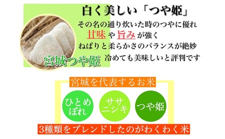 宮城県産三大銘柄いいとこ取りブレンド米  わくわく米 5kg×2袋入 計10kg