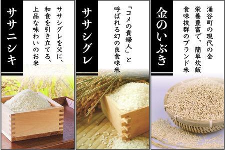 ササニシキ親子米と金のいぶき玄米のセット