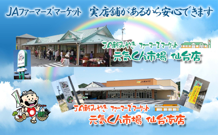 元気くん市場 つや姫 3kg