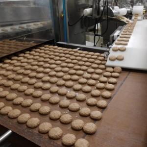 蔵王チーズハンバーグ30g　10個入×4袋【daif011】