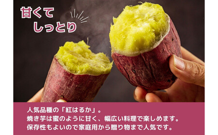 【お得な訳あり!】 さつまいも 紅はるか10kg