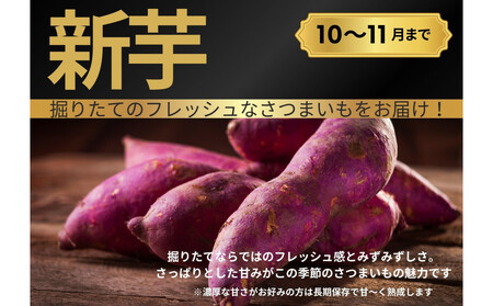 【お得な訳あり!】 さつまいも 紅はるか10kg