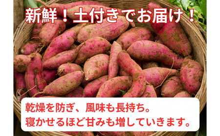 甘くてしっとり★さつまいも(紅はるか)5kg