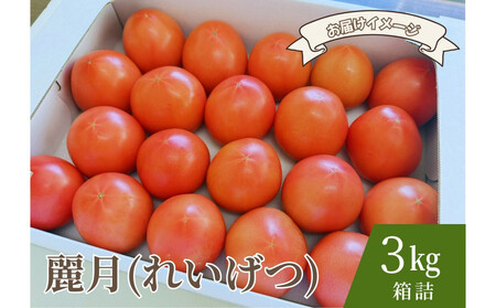 デリシャスファームのトマト(麗月)3キロ箱