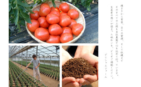 デリシャスファームのトマト(麗月)3キロ箱