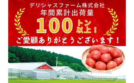 デリシャスファームのトマト(麗月)4キロ箱
