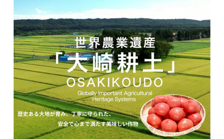 デリシャスファームのトマト(麗月)2キロ箱