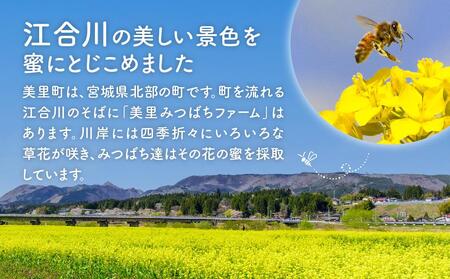 日本蜜蜂のハチミツ（300g） | 宮城県美里町 | ふるさと納税サイト