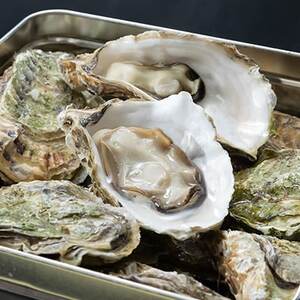 潮香焼セット(殻付き牡蠣・カンカン焼き)ナイフ・軍手入り【配送不可地域：離島・沖縄県・九州】【1312854】