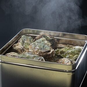 潮香焼セット(殻付き牡蠣・カンカン焼き)ナイフ・軍手入り【配送不可地域：離島・沖縄県・九州】【1312854】