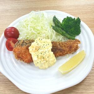 【ふるなびWEEK対象】訳あり 銀鮭切身(甘塩)約3kg / 宮城県 女川町 FN-Limited-PR【配送不可地域:離島】【1641035】