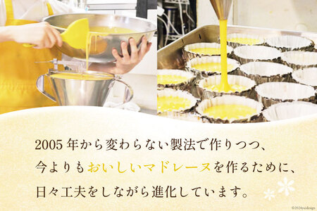 【TVで紹介！】 菓子 お山のマドレーヌ 16個入り [オーイング・K 宮城県 南三陸町 m304amh790006]