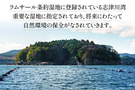 【期間限定発送】牡蠣 南三陸志津川産 殻付き牡蠣 3.5kg 20個前後 [南三陸牡蠣倶楽部 宮城県 南三陸町 30ao0001] カキ かき 生牡蠣 魚貝類 生牡蠣 貝 海鮮 魚介類 オイスター カキフライ カキ鍋 アヒージョ 魚介 期間限定 冷蔵 新鮮 濃厚