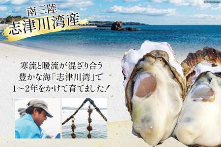 【期間限定発送】牡蠣 南三陸志津川産 殻付き牡蠣 3.5kg 20個前後 [南三陸牡蠣倶楽部 宮城県 南三陸町 30ao0001] カキ かき 生牡蠣 魚貝類 生牡蠣 貝 海鮮 魚介類 オイスター カキフライ カキ鍋 アヒージョ 魚介 期間限定 冷蔵 新鮮 濃厚